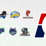 Logos of all teams and the new Arena Football One